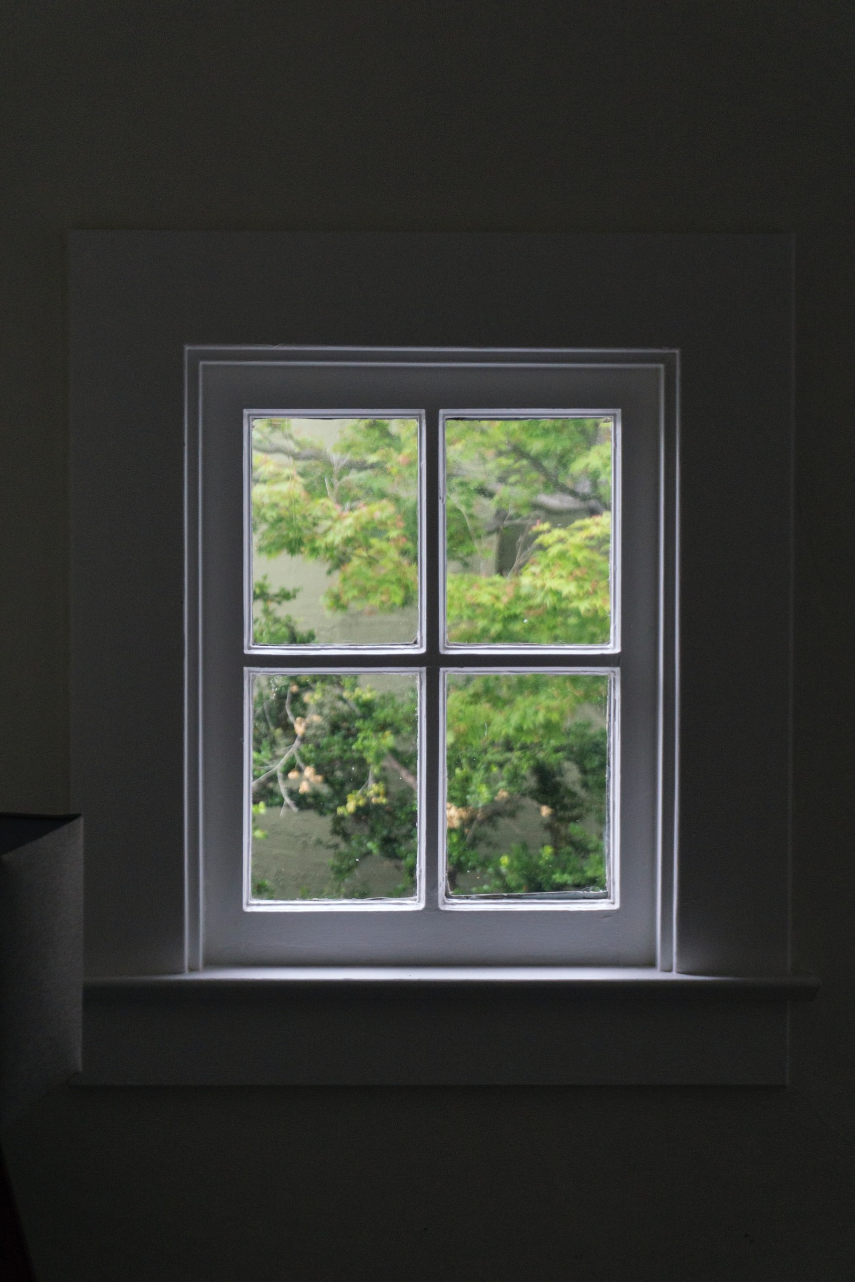 Read more about the article Sådan får du skinnende rene vinduer med en vinduesvasker